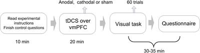 Modulating the Activity of vmPFC Regulates Informational Social Conformity: A tDCS Study